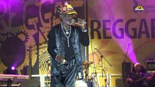 LEE "Scratch" PERRY"Jah﻿ Live"- Live @ Reggae On / Częstochowa 2012