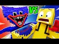 PRO PLAYER vs HUGGY WUGGY?! - Animation