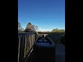 1000 days of  cold plunging Day 873!