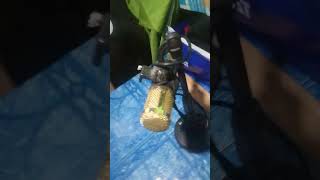 Hello Mic Test