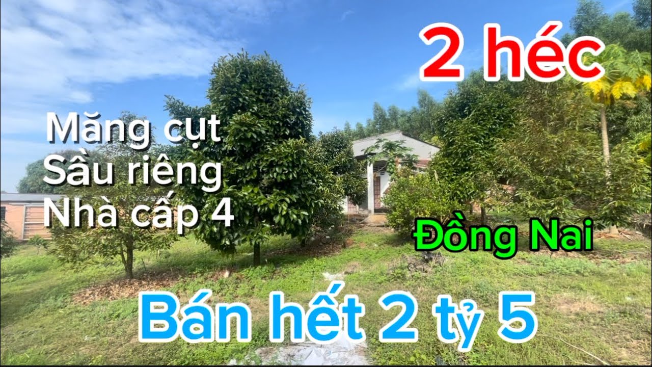 Bán nhà trái cây có 300cây măng cụt sầu riêng mận tổng 20.000m2 giá bán 2 tỷ 5