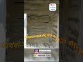 ফ্রিজের কনডেন্সার এর কাজ শিখুন।এসি ও ফ্রিজ রিপেয়ারিং কোর্স করে ক্যারিয়ার গড়ুন দেশে অথবা বিদেশে