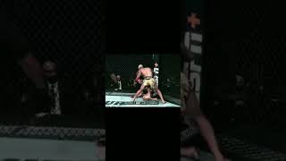 UFC FIGHTER