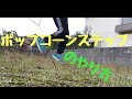 2分で教えるポップコーンステップ【shuffle dance】 の動画、YouTube動画。