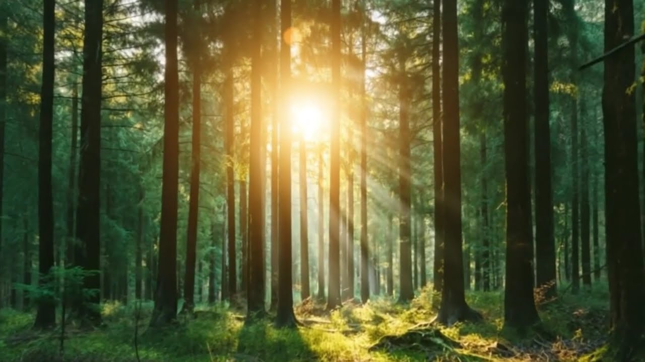 The best songs of February