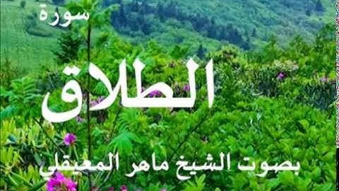 سورة الطلاق بصوت الشيخ / ماهر المعيقلي 65