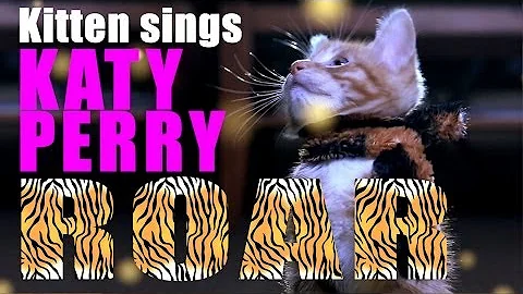Katy Perry - Roar Parody - Kitty Purry - Meow