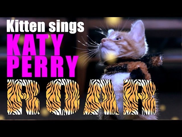 Katy Perry - Roar  Katy perry, Desenho de desenho animado