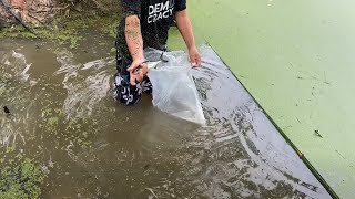 Growing fish instead of making war
