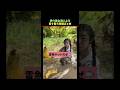 世の美女たちによる目を疑う瞬間まとめ#shorts #funny #美女