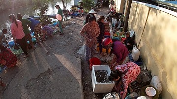 Tiêu thụ 35kg cá, bán cá ăn tết thôi. Phiên chợ chòm hỏm | Săn bắt SÓC TRĂNG |