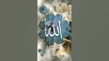 القران الكريم بصوت الشيخ رياض الجزائرى//اللهم صلى وسلم على سيدنا محمد