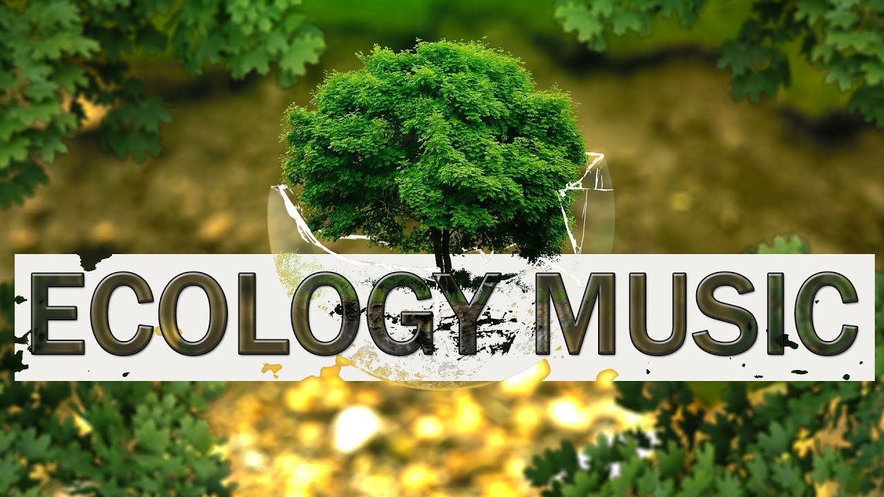 Ambient Background Music for Ecology Project Royalty Free YouTube