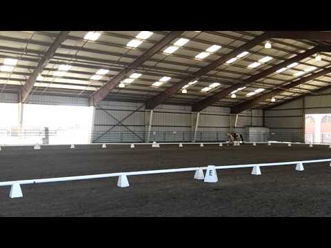 100 0377 Biscuit Western Dressage
