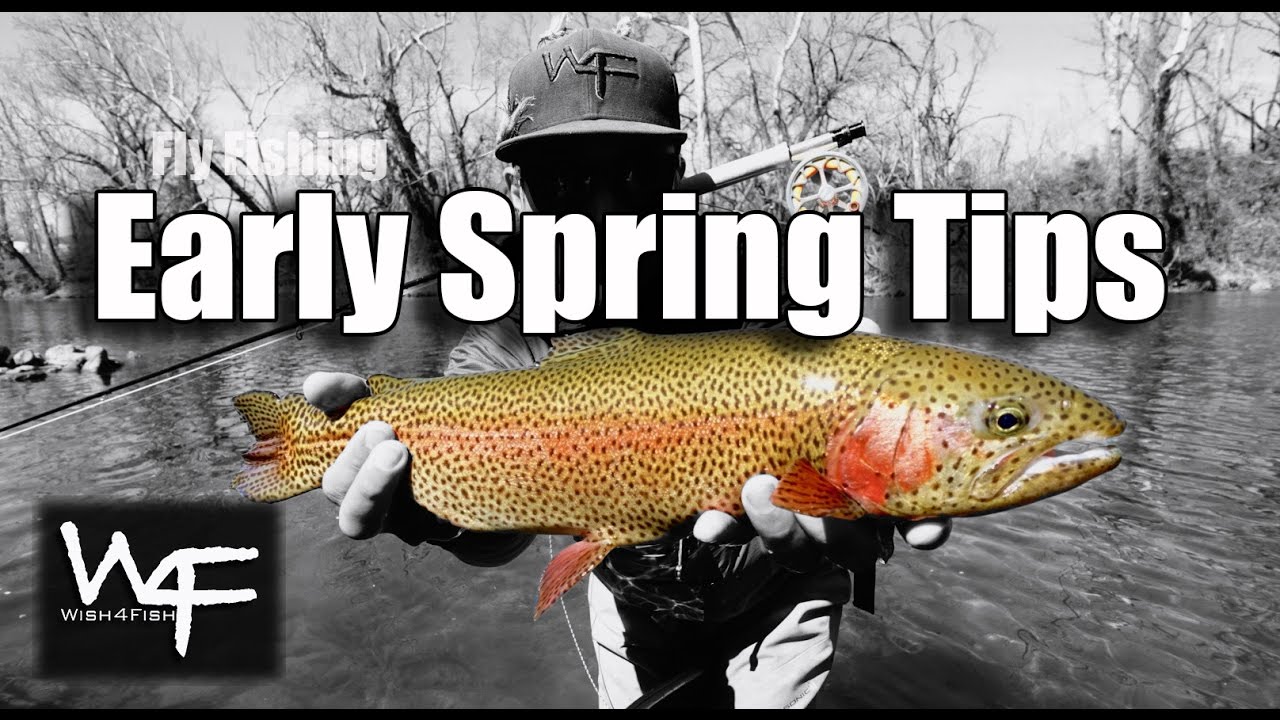 W4F Fly Fishing "Early Spring Tips" Tennessee and North Carolina