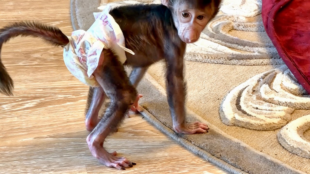 Это НАДО ВИДЕТЬ! Николь показывает мне что памперс ей нужно поменять❤️