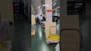 AUDLEY Printer