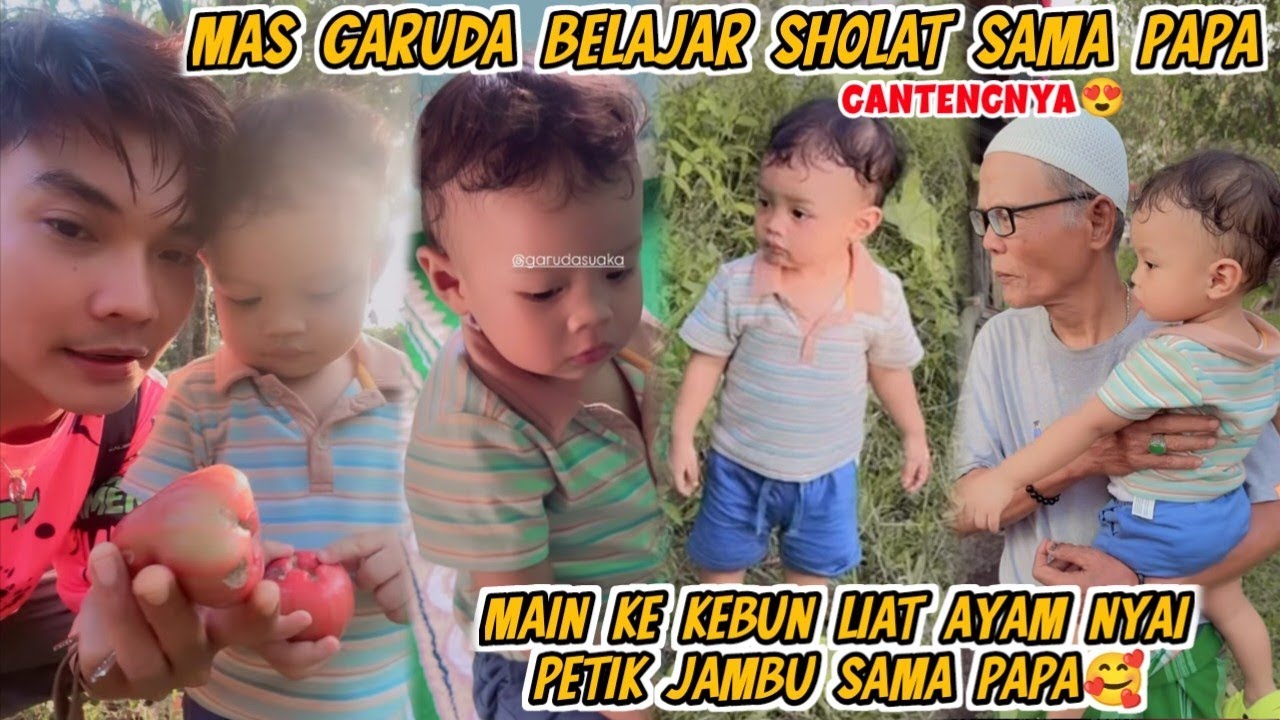 MAS GARUDA SHOLAT‼️MAIN KE KEBUN LIAT AYAM NYAI TERUS PETIK JAMBU SAMA PAPA PINTERNYA MAS GARUDA 