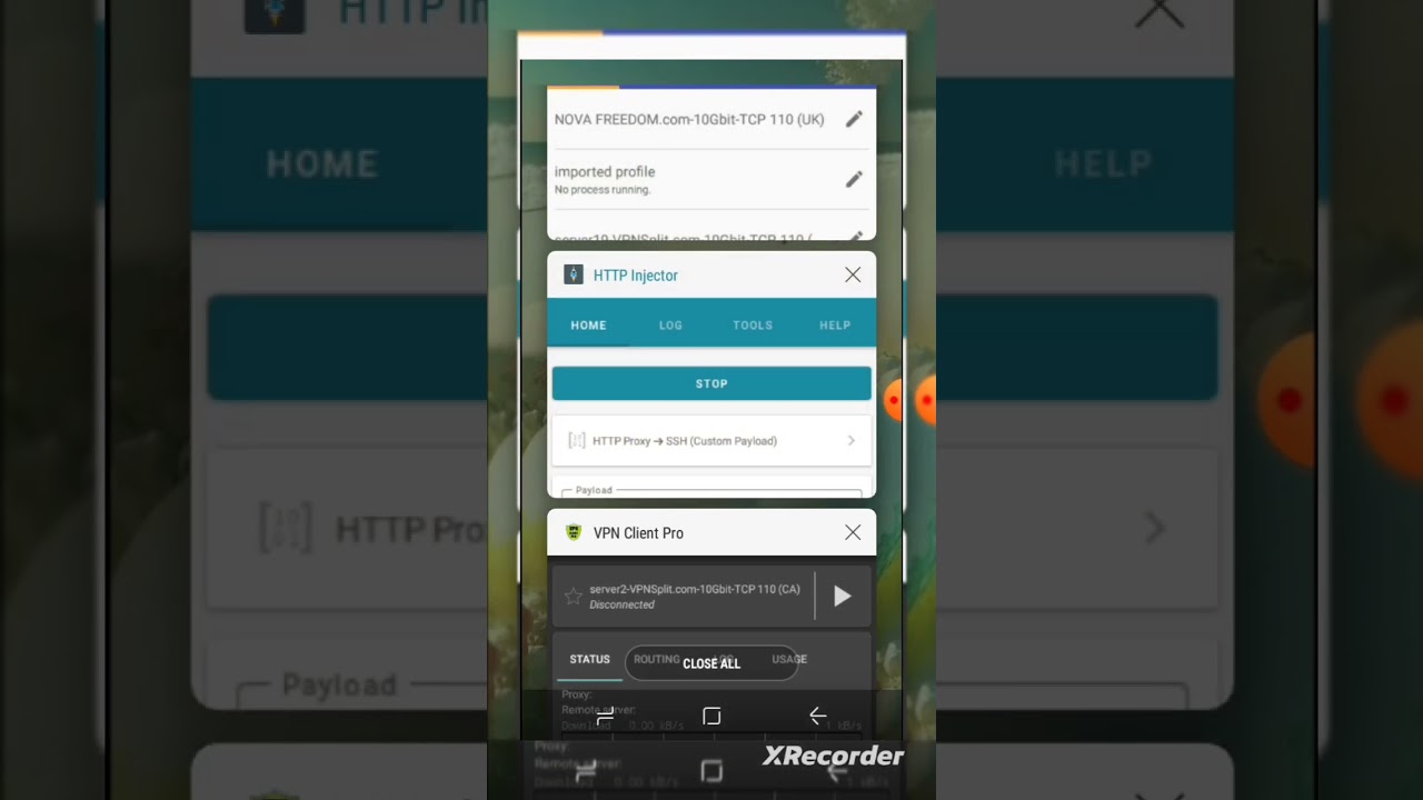 How to connect vpn client pro