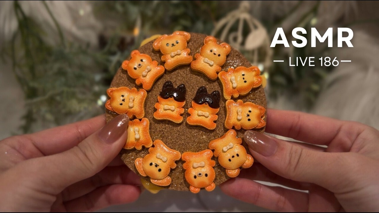 ASMR Earphone Mic Lo-fi (No talking,No mouth sounds) Live 186