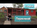 1 мая начинается с Голубей.May 1 starts with Pigeons