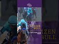 Citizen Bull wins the Eclipse Award for Two-Year-Old Male! Congrats to this #BC24 Champ!