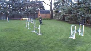 Team Small Dog Practice Sequence - Right Course