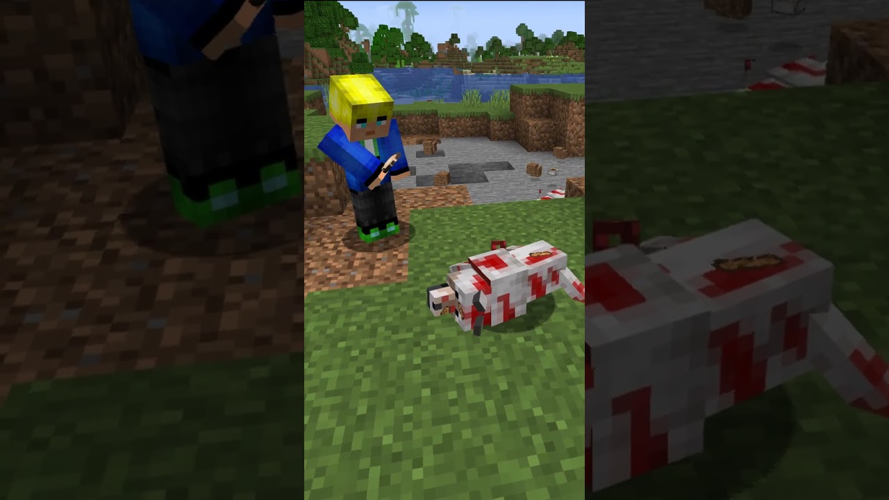 🥇 Doggy Talents Next | ЛУЧШИЙ МОД НА СОБАК В МАЙНКРАФТ🥇 