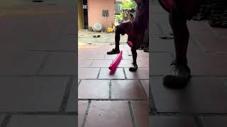 Happy #balloon game #funny video game #oddlysatisfying