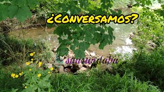 Rivera del Río Linares Parque la Barqueriña Villaviviciosa Principado d Asturias #villaviciosa