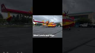 Canadair 215 fire planes