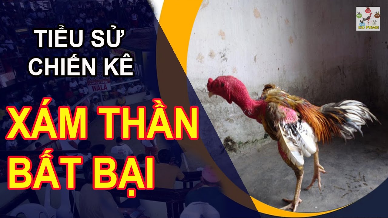 TIỂU SỬ CHIẾN KÊ : XÁM THẦN và những bí mật chưa được kể || HD FRAM