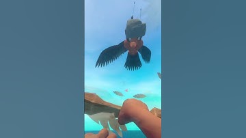 101 Raft Tips: #38: Stone Birds