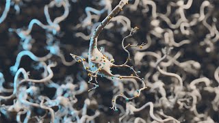 Unlocking the secrets of the brain through quantum dots and gold particles - NanoNeuro project