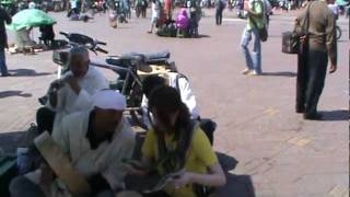 Snakes In Marrakech Square