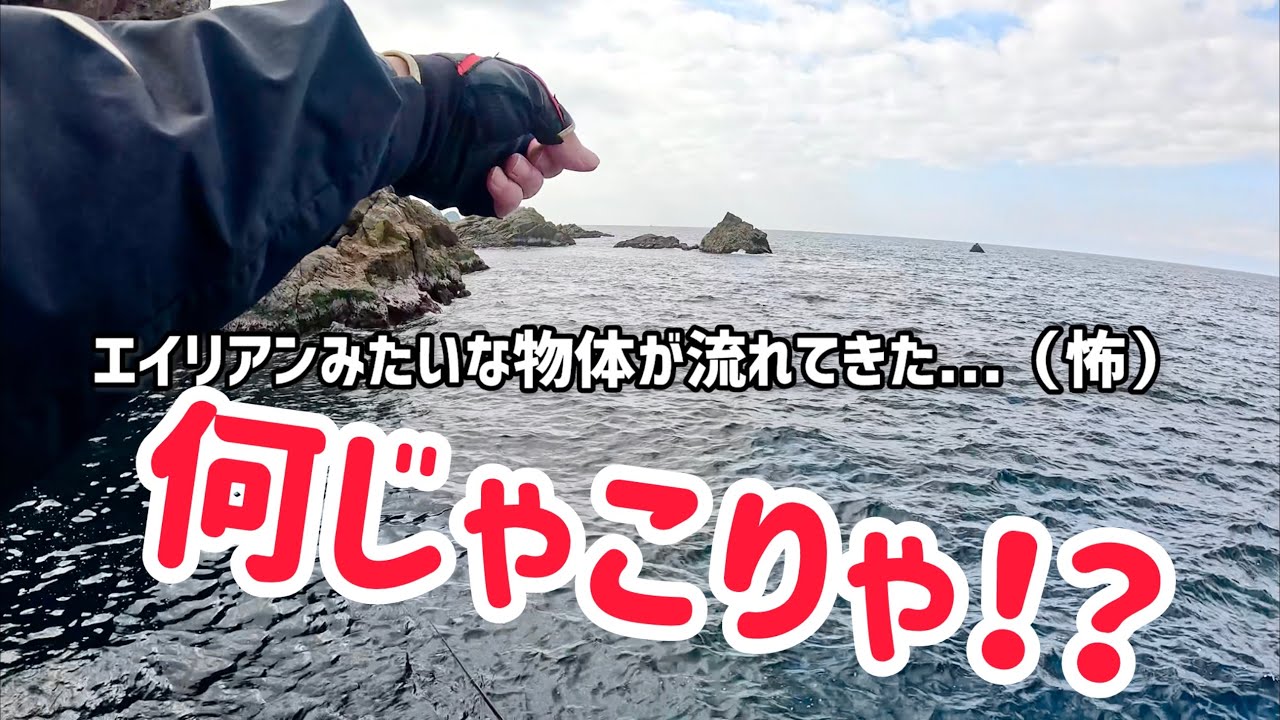 【何コレ⁉︎】グレ釣りしてたらスゴイのが流れてきた...。長年釣りしてきてこんなこと初めてだ。。。