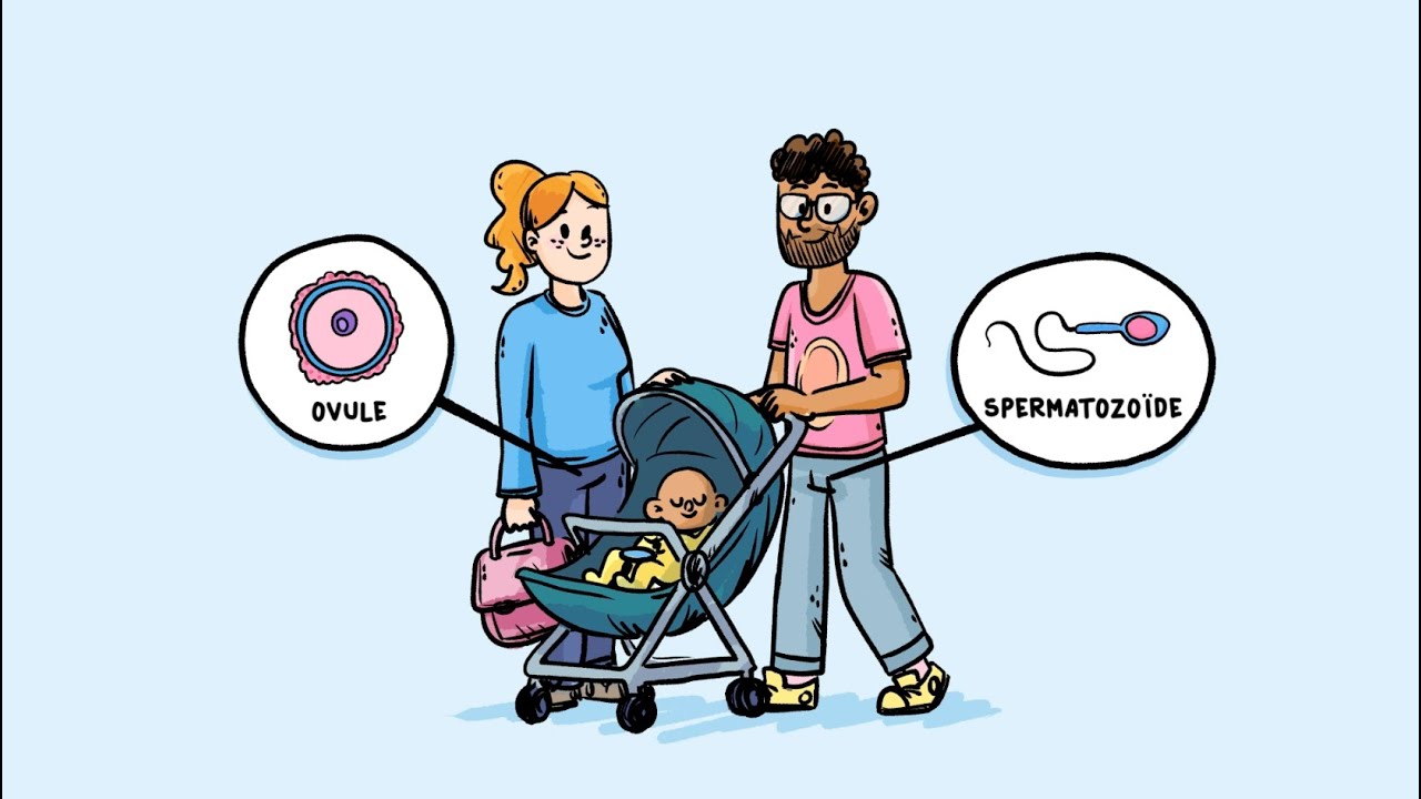 Comment on fait les bébés ? - YouTube