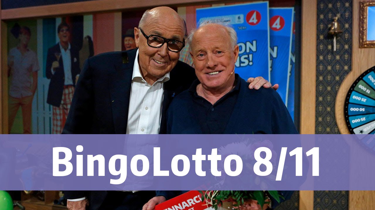 BingoLotto 8/11 2015