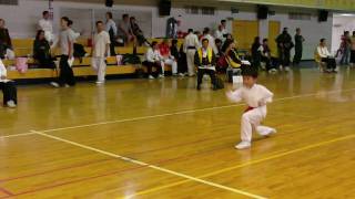 990327台中沙鹿中正盃武術基本拳3