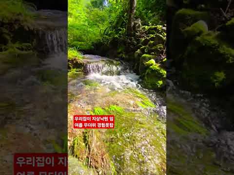 무더위 <strong>열대야</strong>  그게뭐여 ᆢ?