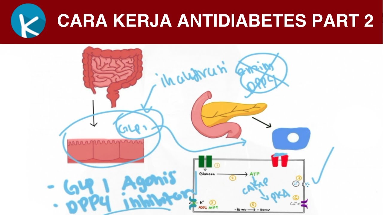 semaglutide compound dosing chart Semaglutide Weight Loss Dosing Guide for the First Loading Phase