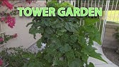 Tower Garden by Juice Plus+ - YouTube