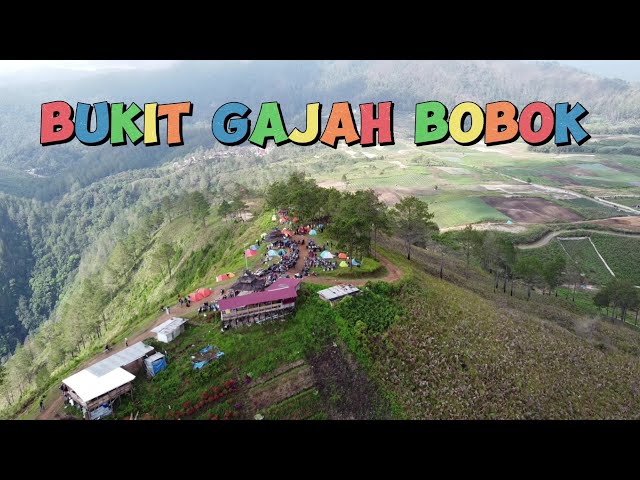 wisata gajah bobok