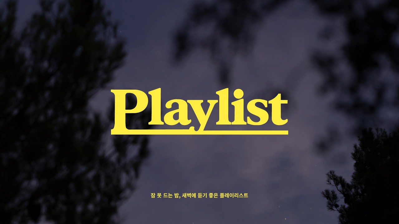 [playlist] 잠 못 드는 밤 듣기 좋은 플레이리스트💿