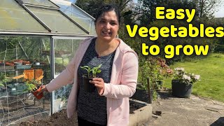 New Vegetable Garden 2024: How To Get Started / Organic vegetables - Home Gardening #organicgarden