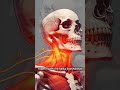 cervical pain || Ergonomic advice #believeintherapy