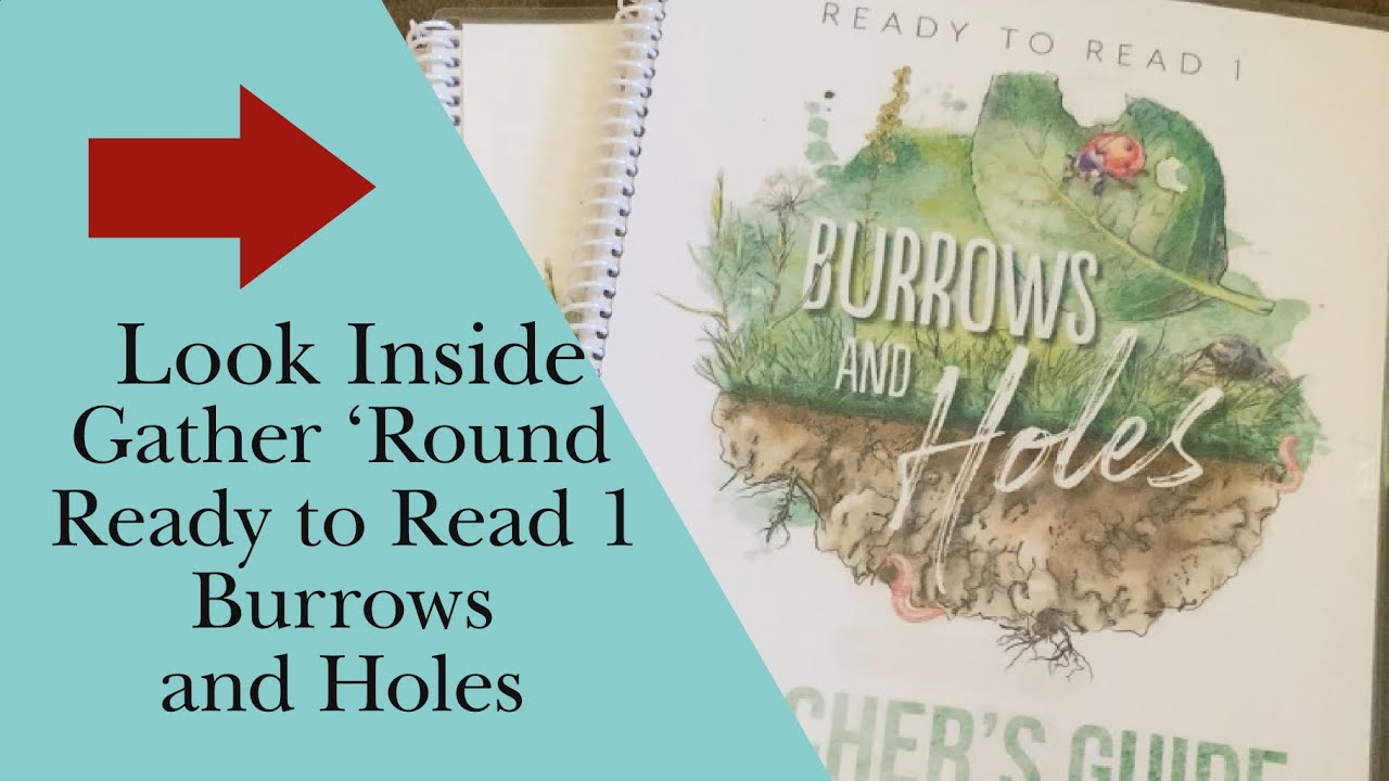 Look Inside Burrows and Holes by Gather Round YouTube