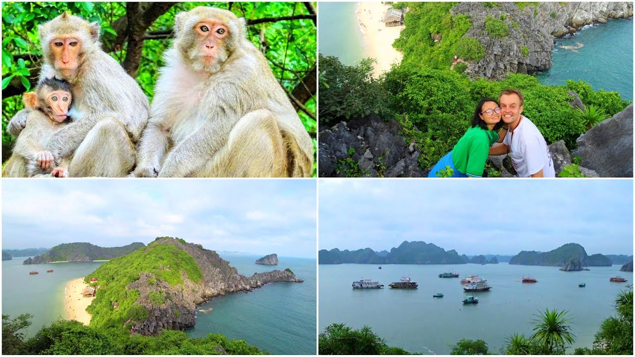 Monkey Island in Cat Ba, Vietnam Đảo Cát Dứa Family travel vlog by Meigo Märk YouTube