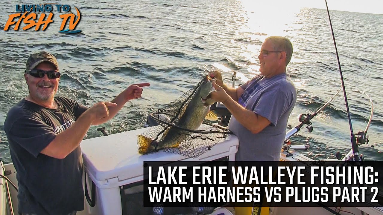 Lake Erie Walleye Fishing Warm Harness vs Plugs Part 2 YouTube