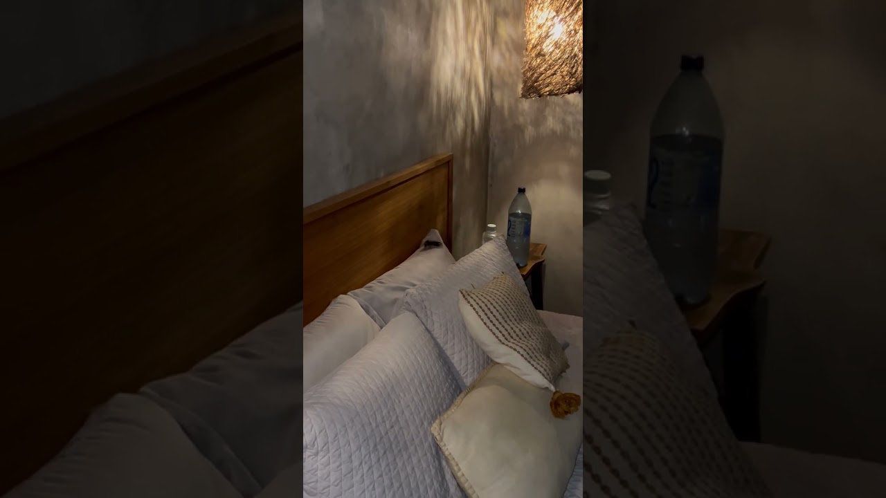 Гигантское насекомое на подушке заставляет ребенка кричать перед сном